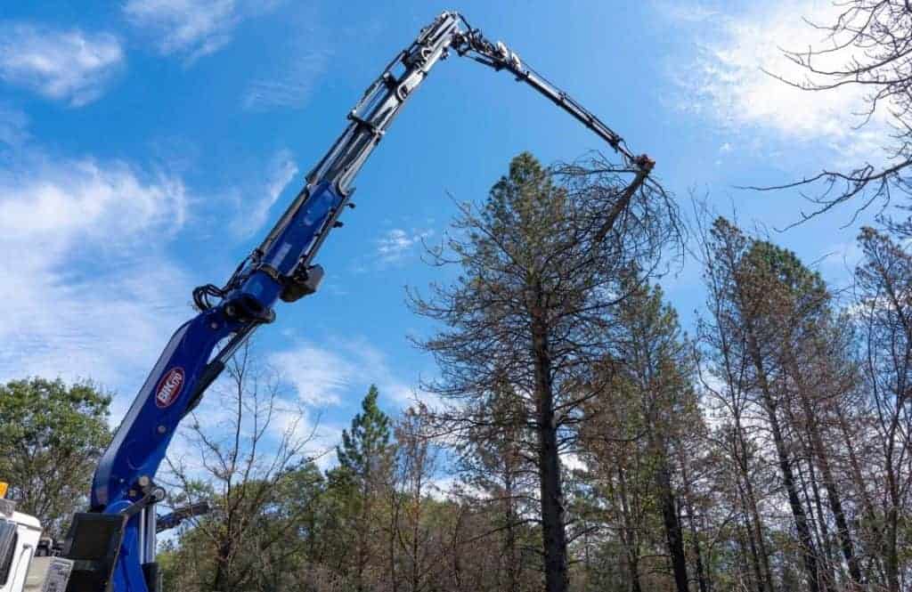 Largest Grapplesaw Crane In America 1