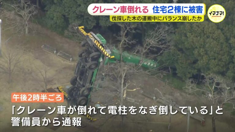 crane collapse in tree removal hiroshima 2