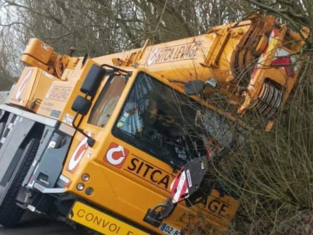 11 france crane in the ditch 3bd99e75