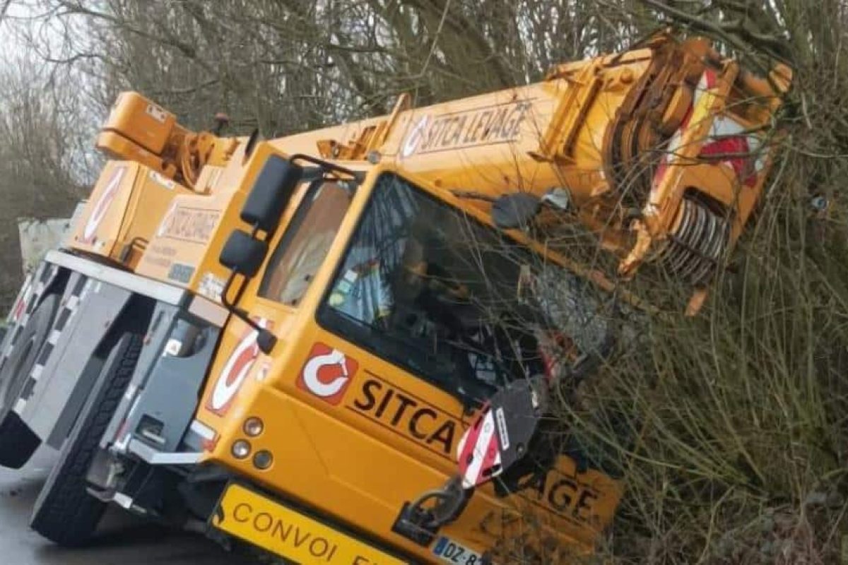 11 france crane in the ditch 3bd99e75
