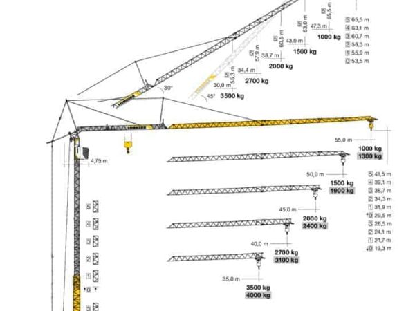 thumbnail of 125K_specc_mt_en