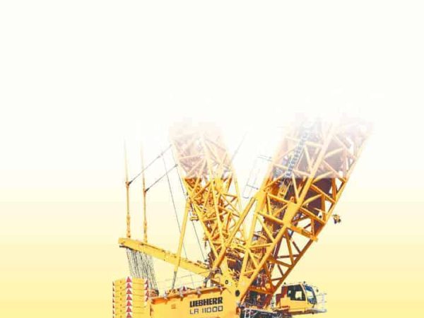 thumbnail of LR11000 Technical Data mt