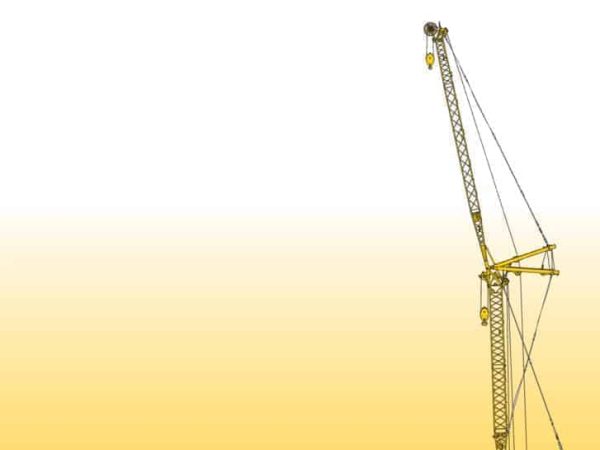 thumbnail of LR1100_spec_mt_en_v2007