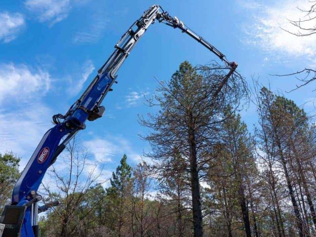Largest Grapplesaw Crane In America 1