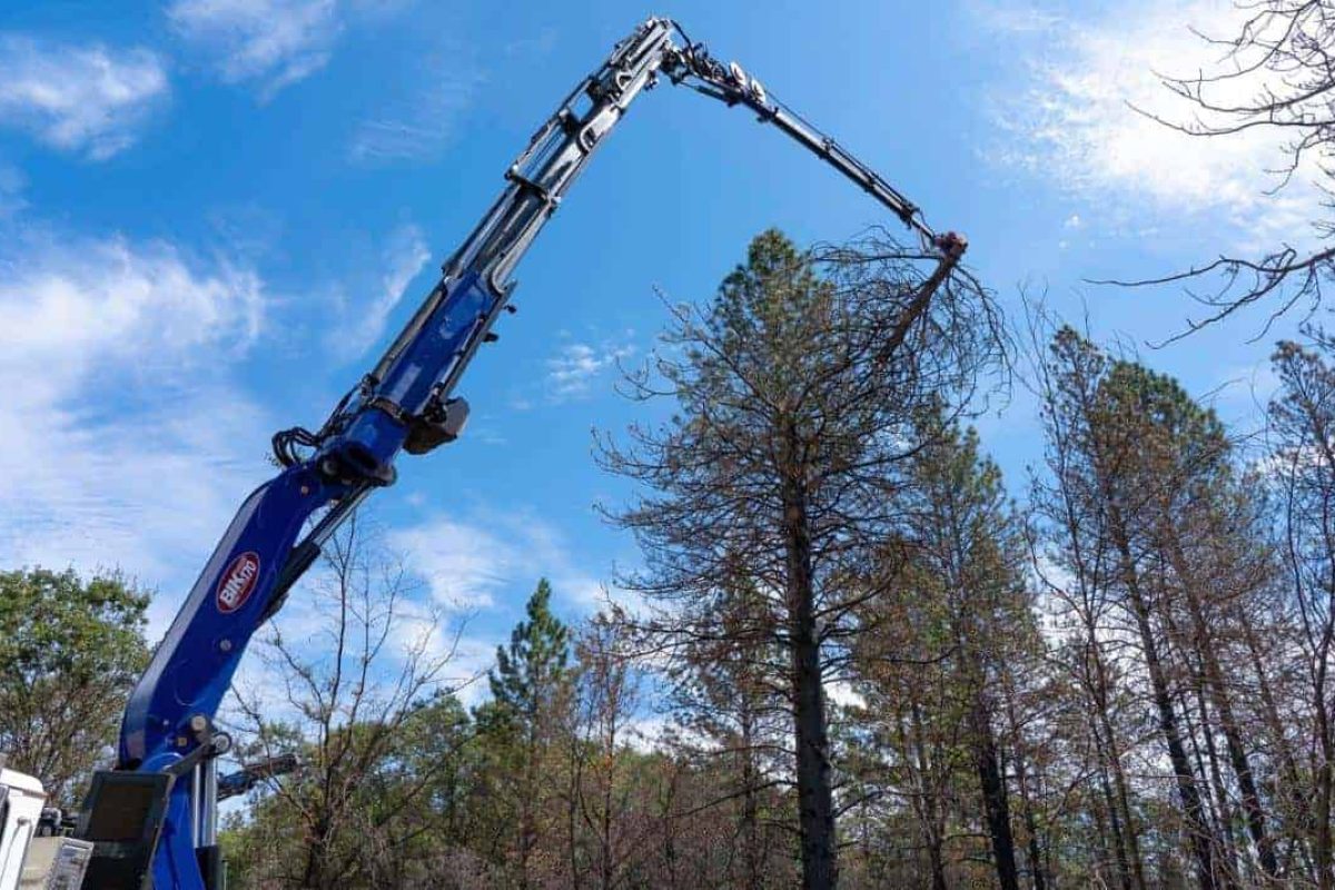Largest Grapplesaw Crane In America 1