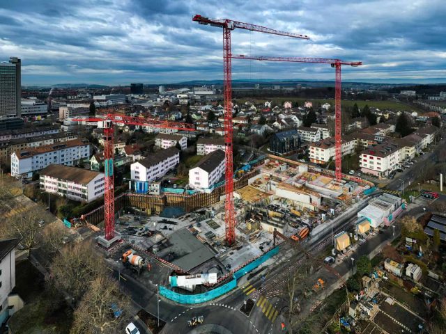 berne wolff crane