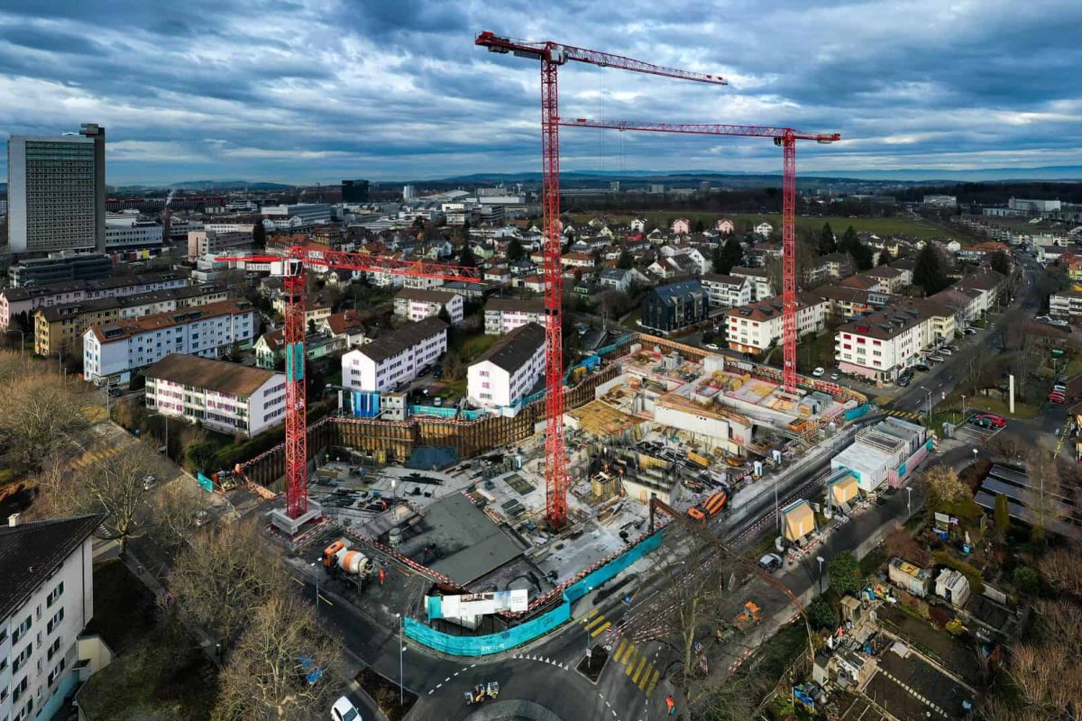berne wolff crane