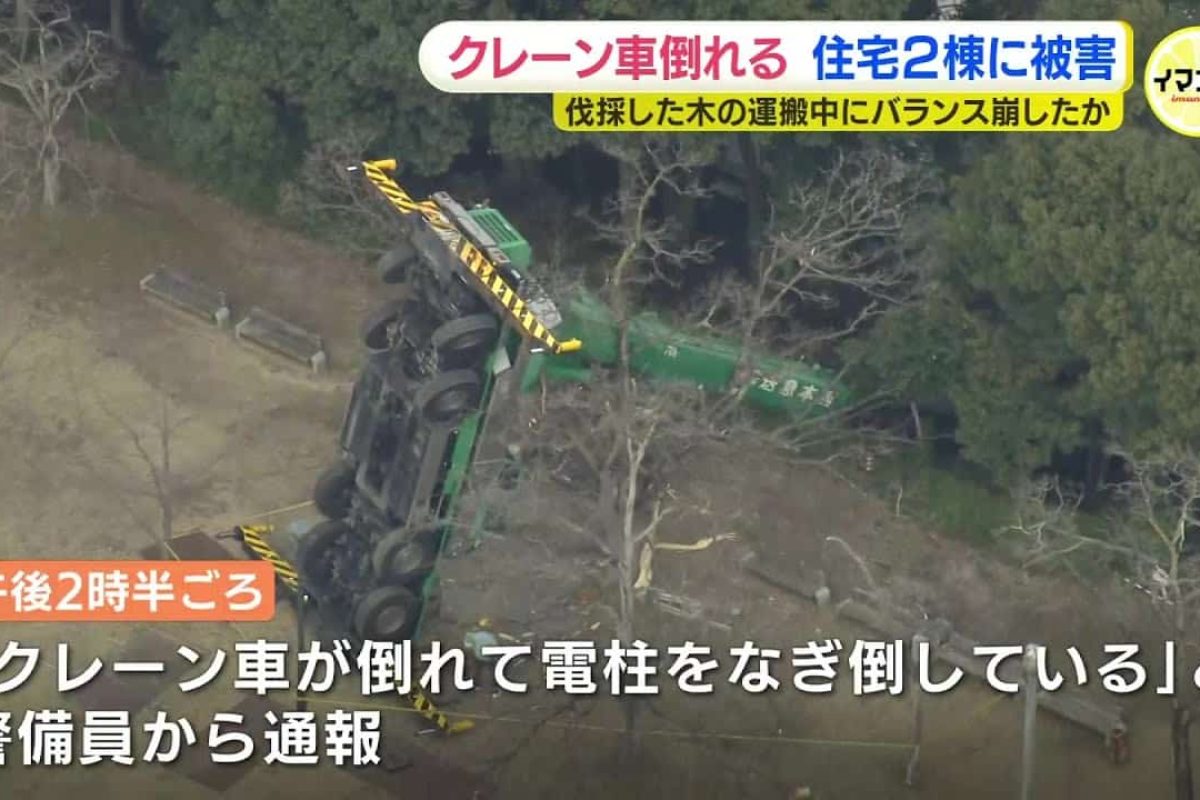 crane collapse in tree removal hiroshima 2