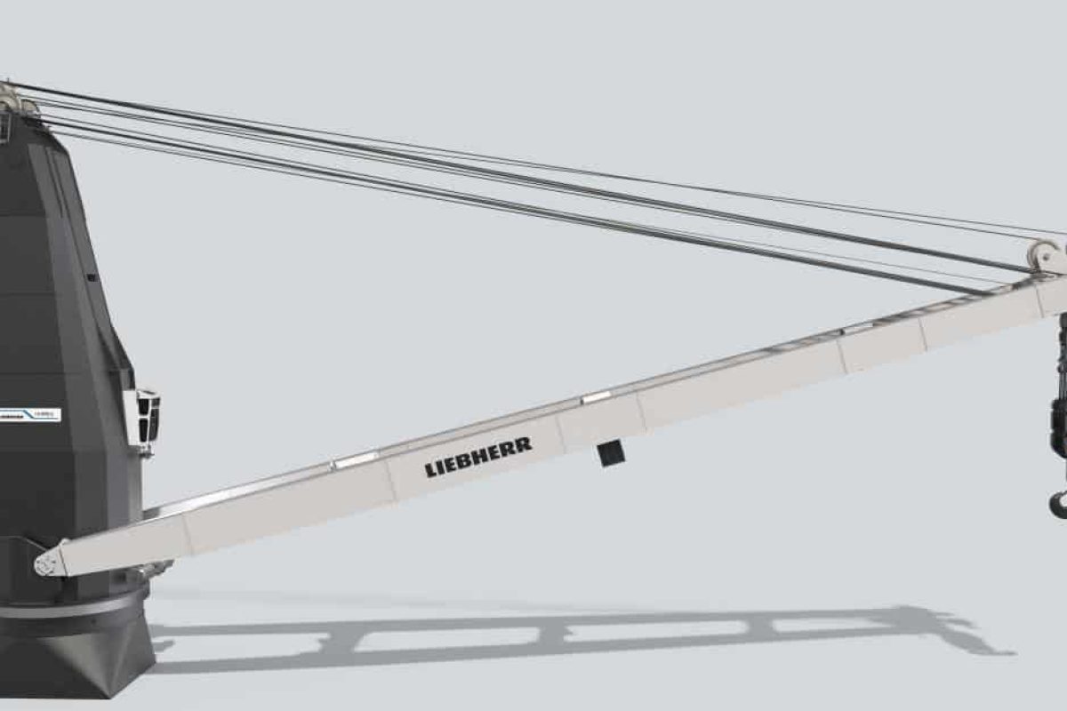 liebherr ship crane ls800e 1