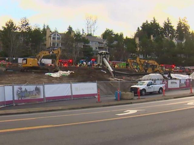 linkbelt tcc-450 overturned