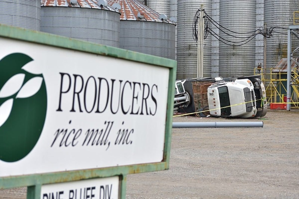 rice mill employee killed by toppled crane 2
