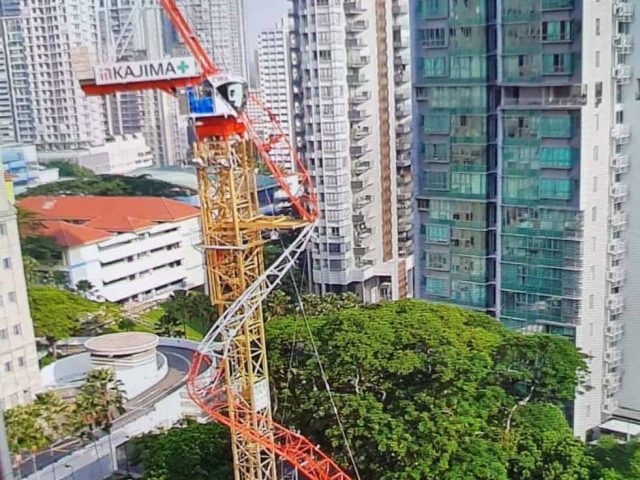 tower crane's luffjiing jib collapse